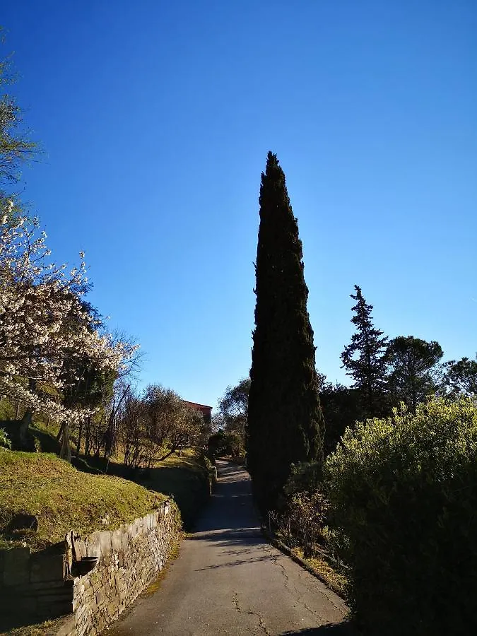 La Vivagna - Casa Vista Mare Tra Gli Ulivi Villa Leivi Holiday home