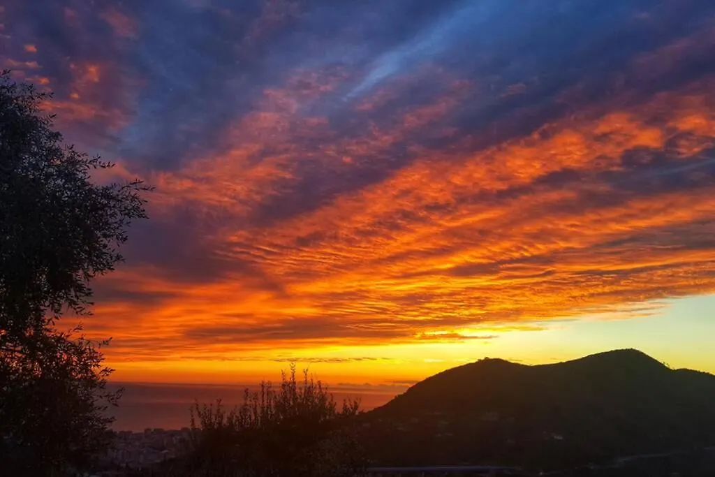 La Vivagna - Casa Vista Mare Tra Gli Ulivi Villa Leivi