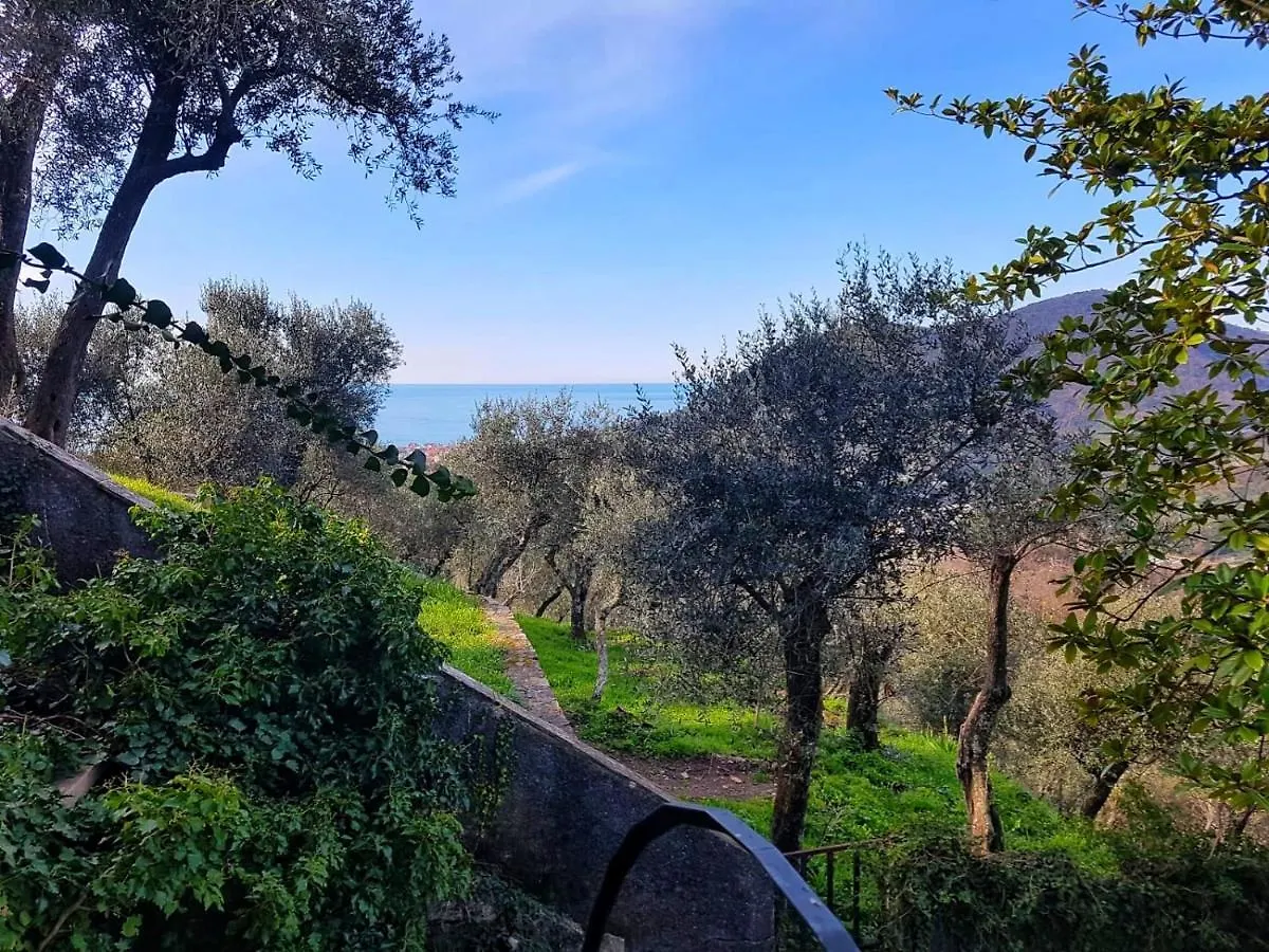 La Vivagna - Casa Vista Mare Tra Gli Ulivi Villa Leivi 0*,