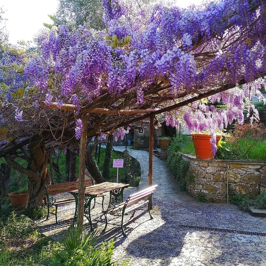 Holiday home La Vivagna - Casa Vista Mare Tra Gli Ulivi Villa Leivi Italy