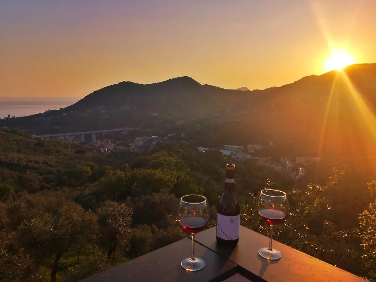 La Vivagna - Casa Vista Mare Tra Gli Ulivi Villa Leivi Italy