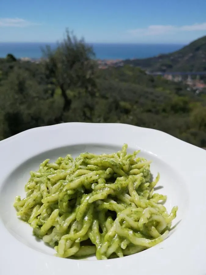 Vila La Vivagna - Casa Vista Mare Tra Gli Ulivi Leivi