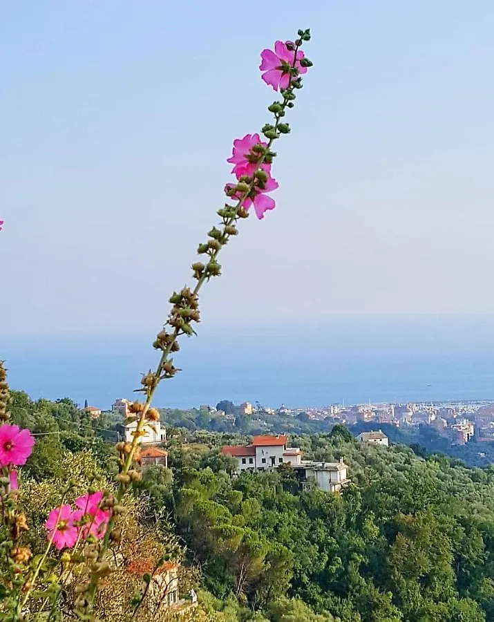 Prázdninový dům Vila La Vivagna - Casa Vista Mare Tra Gli Ulivi Leivi